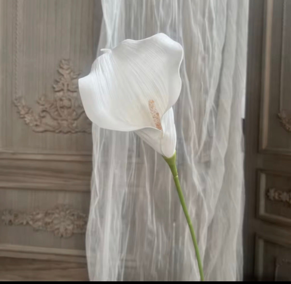 Calla lilys
