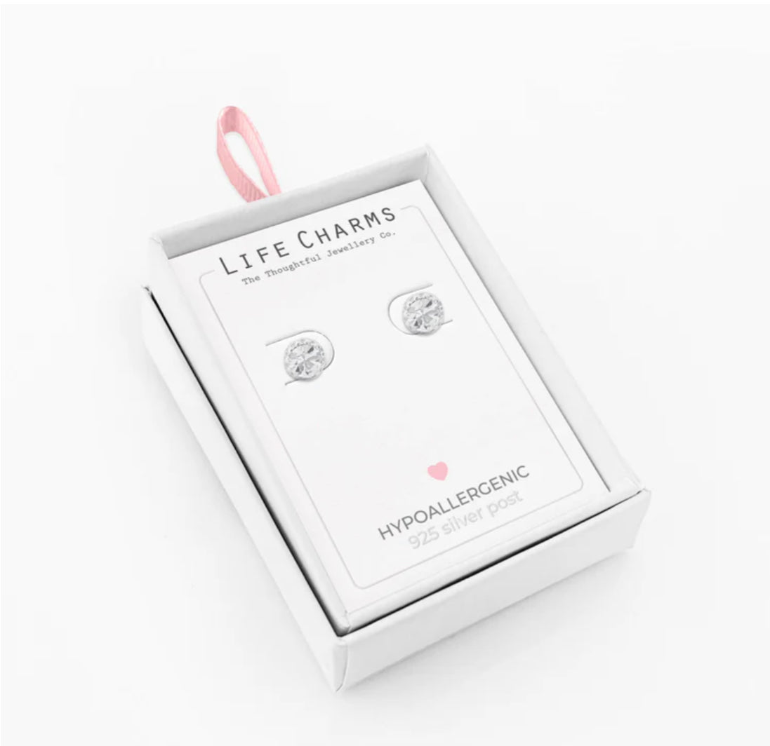 Diamond crystal stud Earrings - Silver